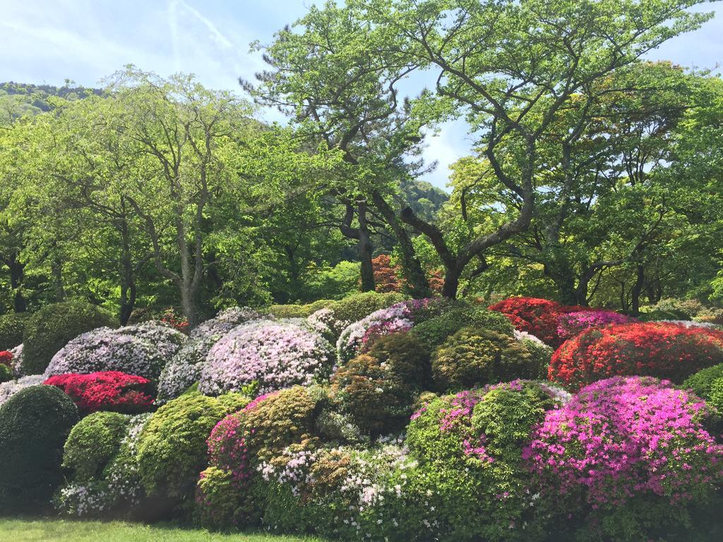 Готель Hakone Kowakien Miyamafurin Екстер'єр фото