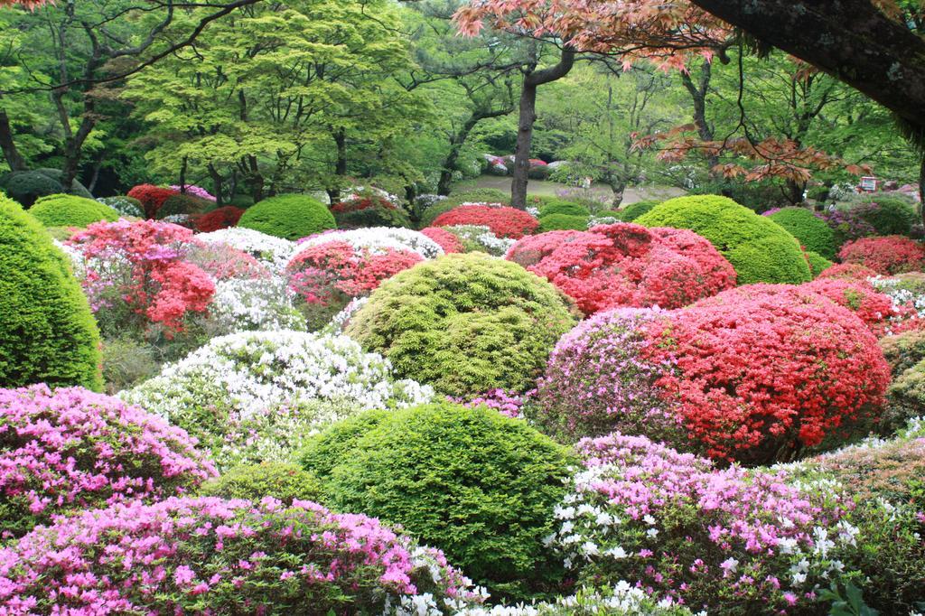 Готель Hakone Kowakien Miyamafurin Екстер'єр фото