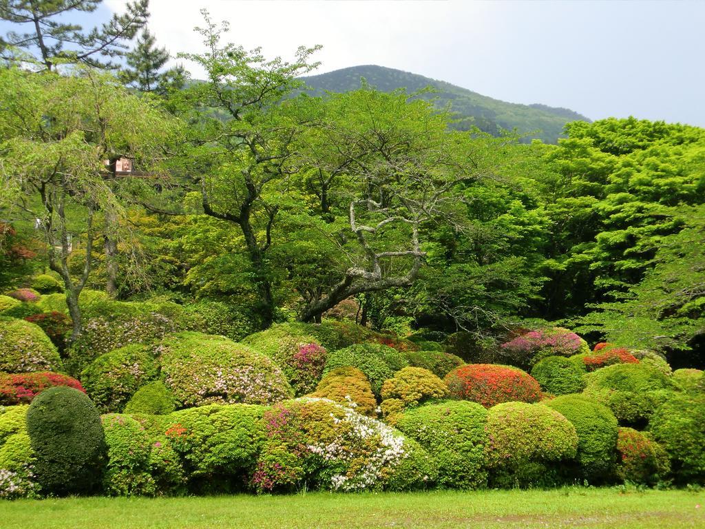 Готель Hakone Kowakien Miyamafurin Екстер'єр фото