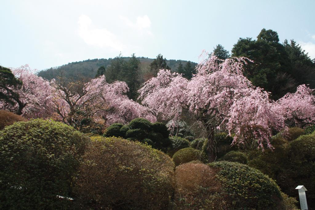 Готель Hakone Kowakien Miyamafurin Екстер'єр фото