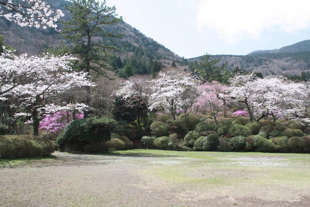 Готель Hakone Kowakien Miyamafurin Екстер'єр фото